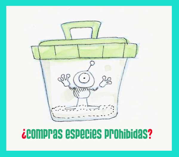 Viñeta de Ecología, número 3
